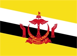 [ai] The national flag of Brunei, featuring a yellow field with a central black and white diagonal stripe, and a red emblem including a crescent, a bird, and two raised hands, with Arabic text below.